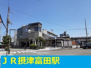 摂津富田駅 徒歩13分 2階の物件内観写真